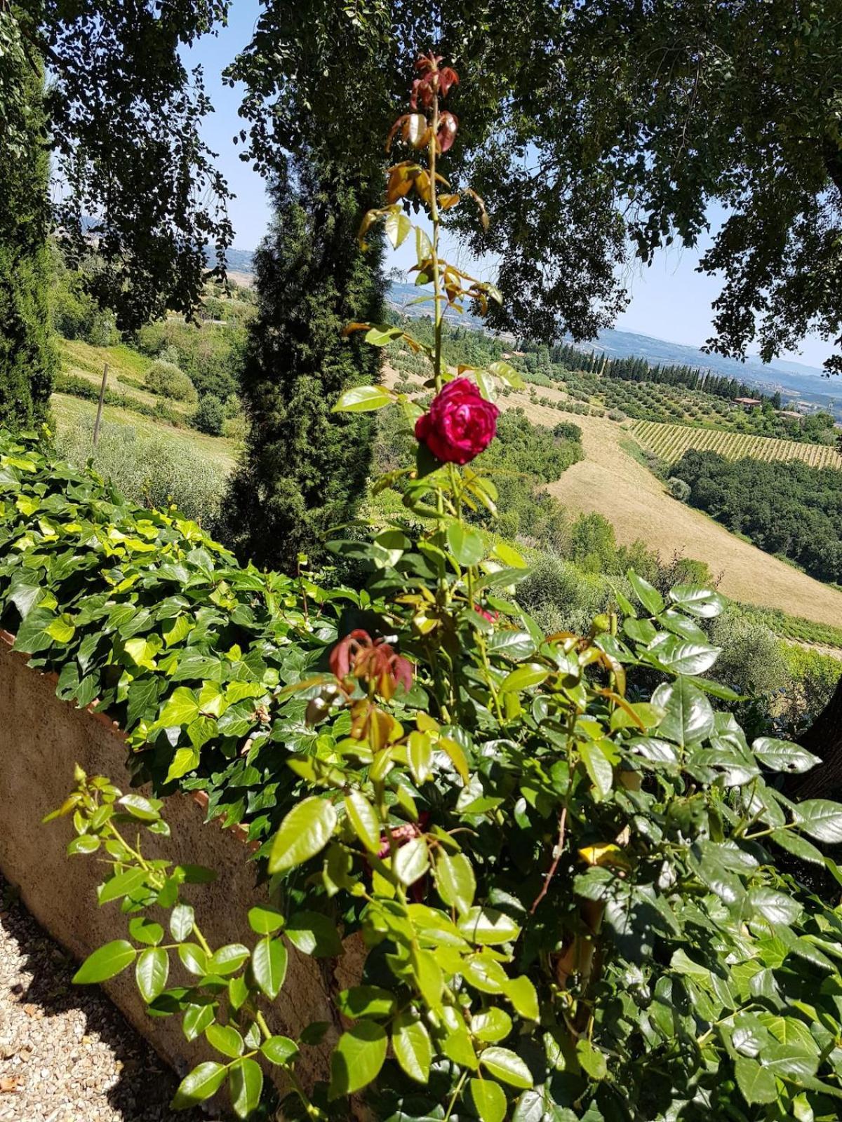 Il Leccio - Casa Toscana San Gimignano Gambassi Terme Extérieur photo